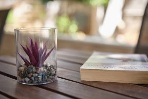 Φωτεινοί εξωτερικοί χώροι του γηροκομείου Ίριδα στο Χαλάνδρι