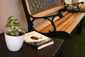 Προαύλιος χώρος με πράσινο στη μονάδα Centaurea Χολαργός