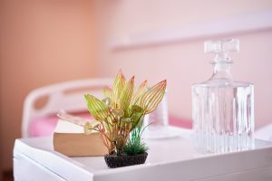 Δίκλινο δωμάτιο στο γηροκομείο Centaurea Χολαργός