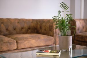 Καθιστικό της μονάδας φροντίδας ηλικιωμένων Ίριδα Ιλίσια