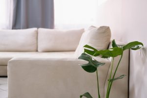 Καθιστικό στη μονάδα φροντίδας ηλικιωμένων Ίριδα Αθήνα