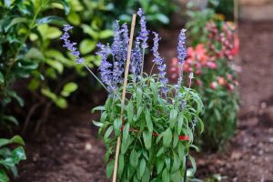 Καθιστικό στον εξωτερικό χώρο του γηροκομείου Ίριδα Palace