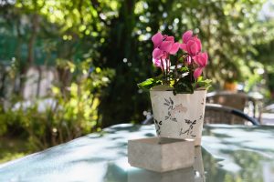 Κήπος και αυλή της μονάδας φροντίδας ηλικιωμένων Ίριδα Μαρούσι