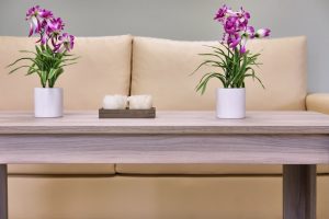 Καθιστικό της μονάδας φροντίδας ηλικιωμένων Ίριδα Παγκράτι