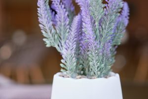 Εστιατόριο της μονάδας φροντίδας ηλικιωμένων Ίριδα στο Ηράκλειο Αττικής