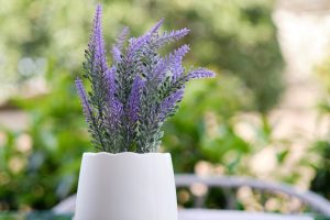 Εξωτερικός χώρος της μονάδας φροντίδας ηλικιωμένων Ίριδα στο Ηράκλειο Αττικής